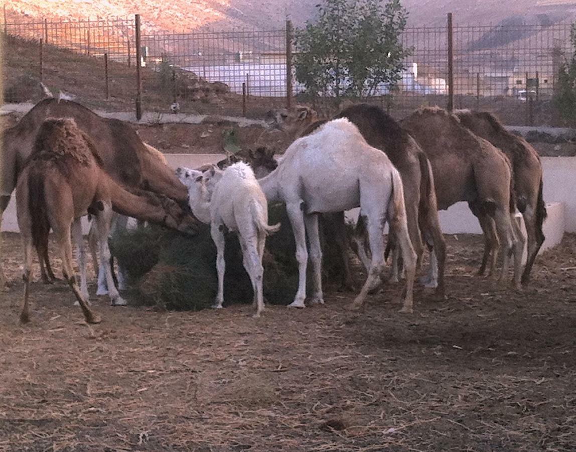 La Finca Uga Exteriér fotografie